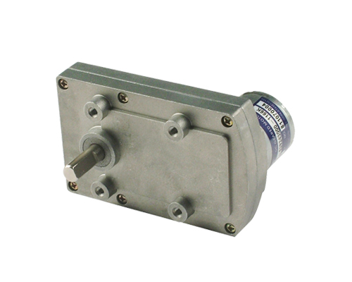 variable speed gear motor