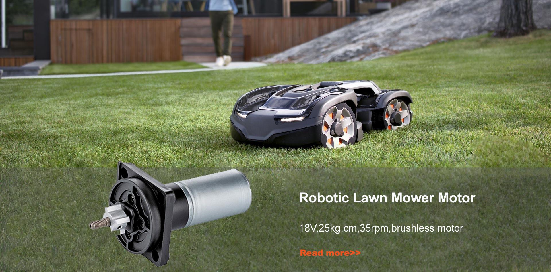 Robotic Lawn Mower Motor